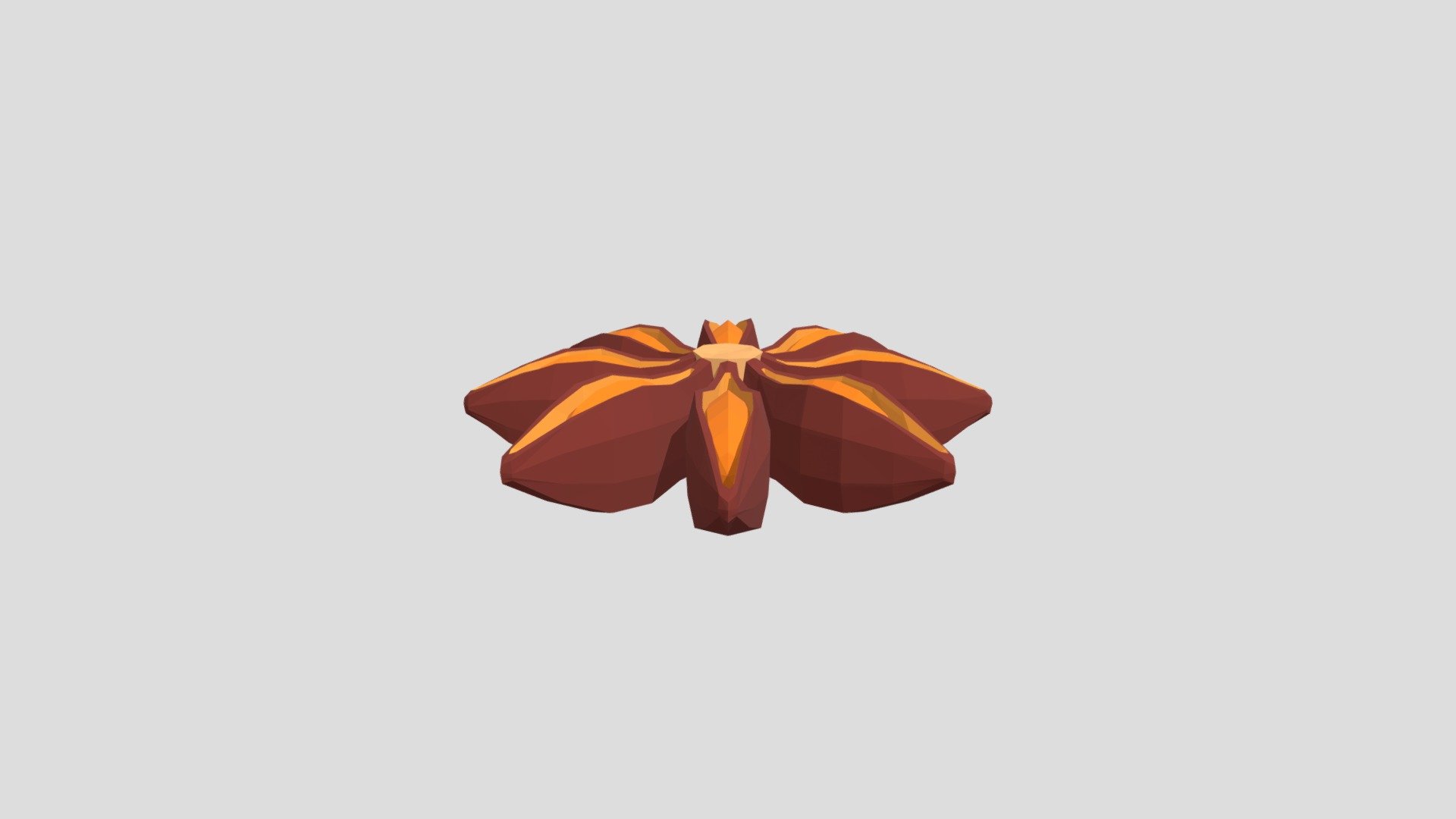 Star anise from Poly by Google