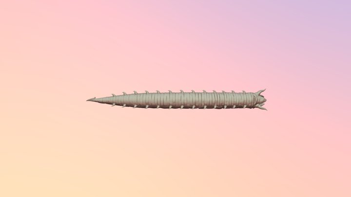 Sandworm 3D Model