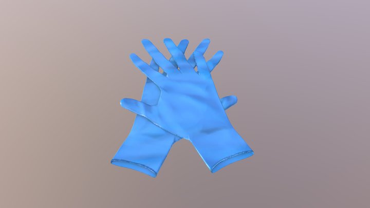 Sterile Gloves 3D Model