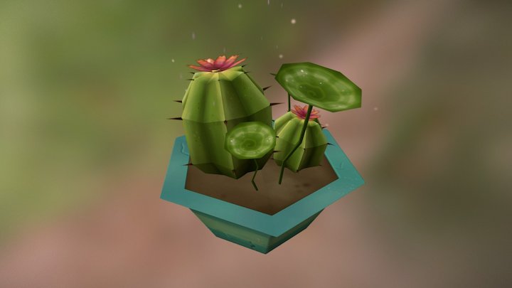 Little Round Cacti 3D Model