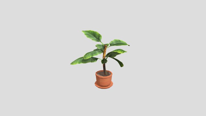 Plant 3D Model