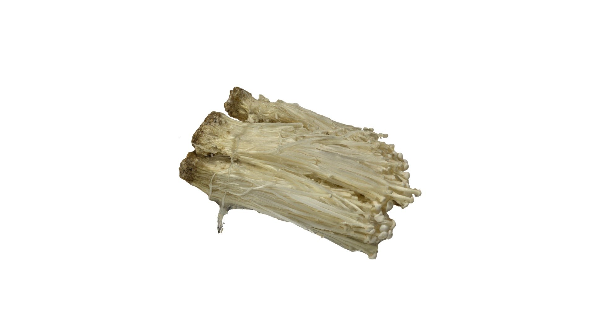Enoki Mushroom