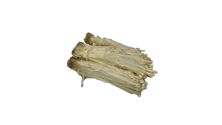 Enoki Mushroom 3D Model