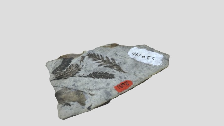 Mystery Rock #6 3D Model