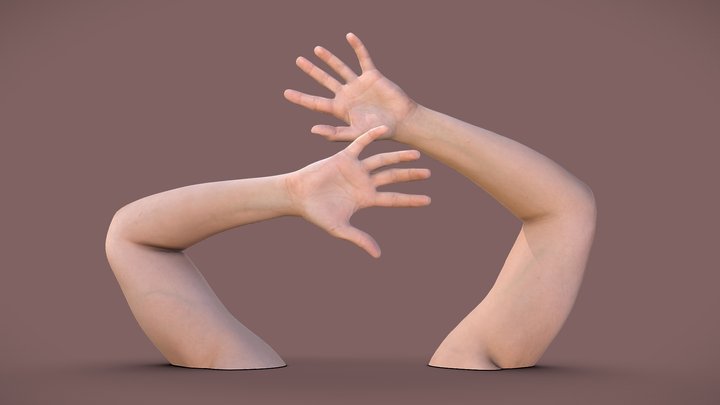 Female arms 3D Model
