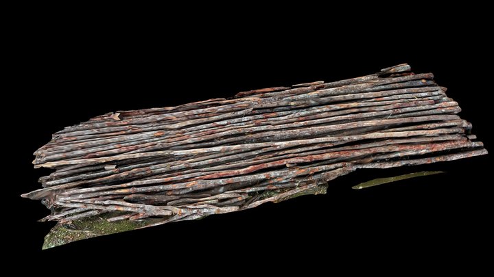 Construction Bako/Bakau Pile (Scaniverse) – Free 3D Model STL