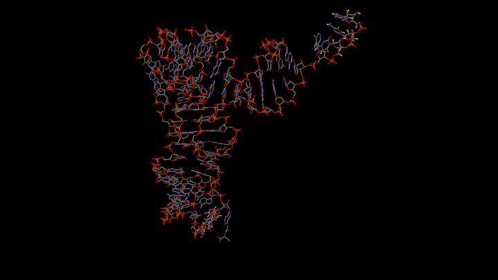 t-RNA-2 3D Model