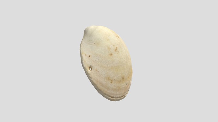 Canclapes_petxina_perforada 3D Model
