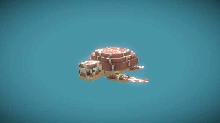 [Flacko] Sea Turtle 3D Model