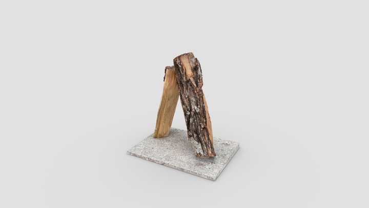 Chopped Wood 3D Model