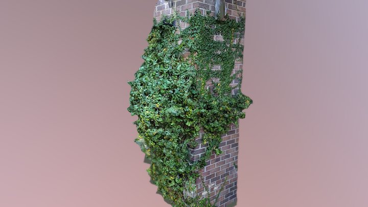 Overgrown Vines on Support Pillar – Free 3D Model STL
