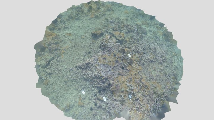 Oʻahu HNL Airport (September 2022) 3D Model