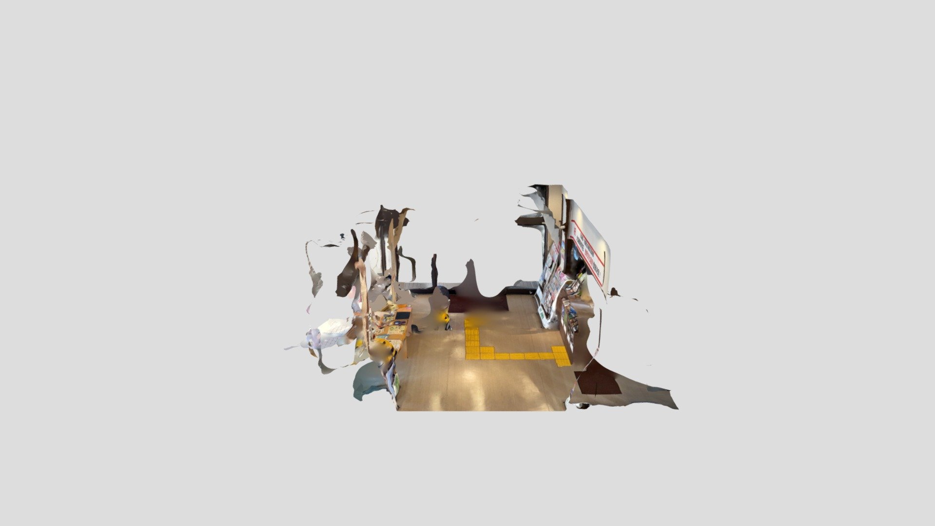 Polycam capture