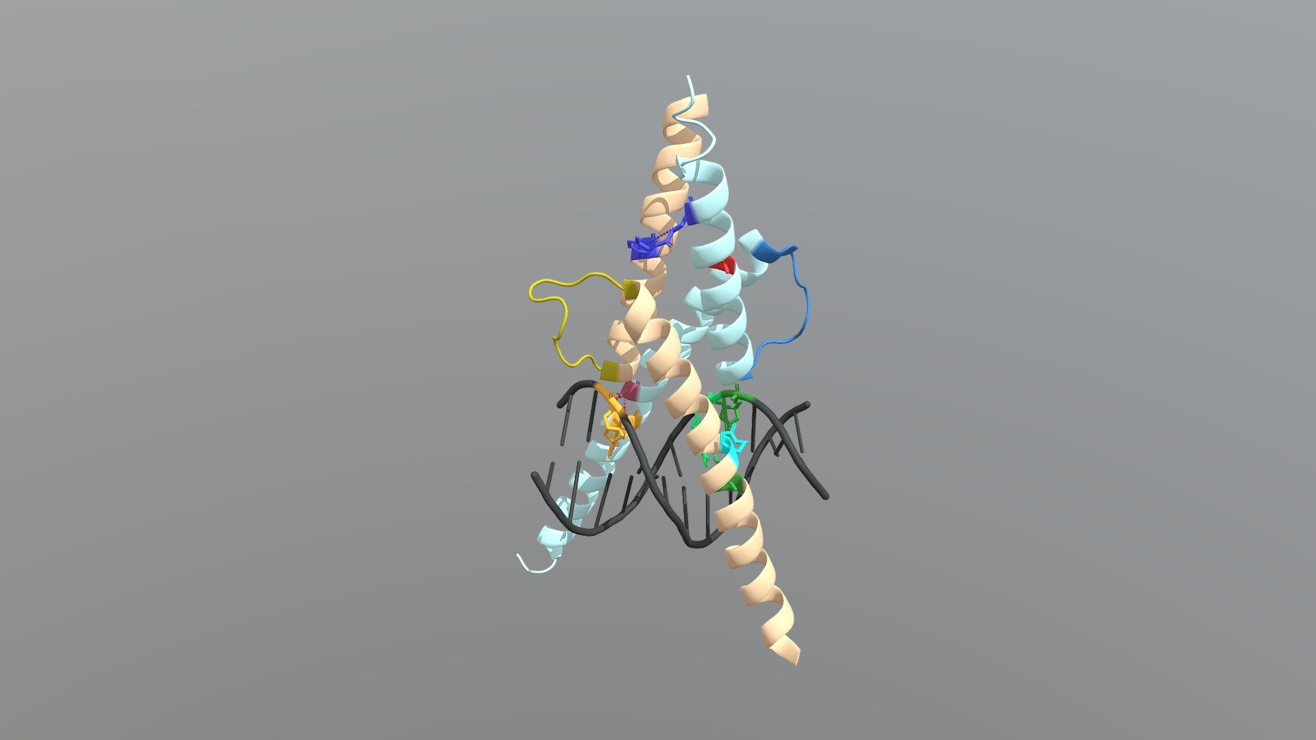 E47:SCL and DNA - Annotated