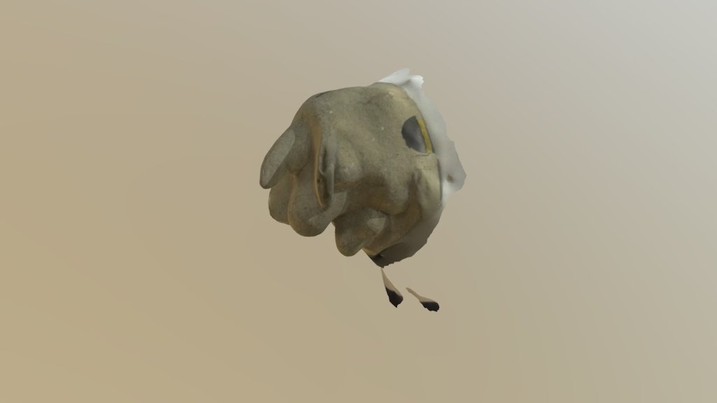 Lionhead-1