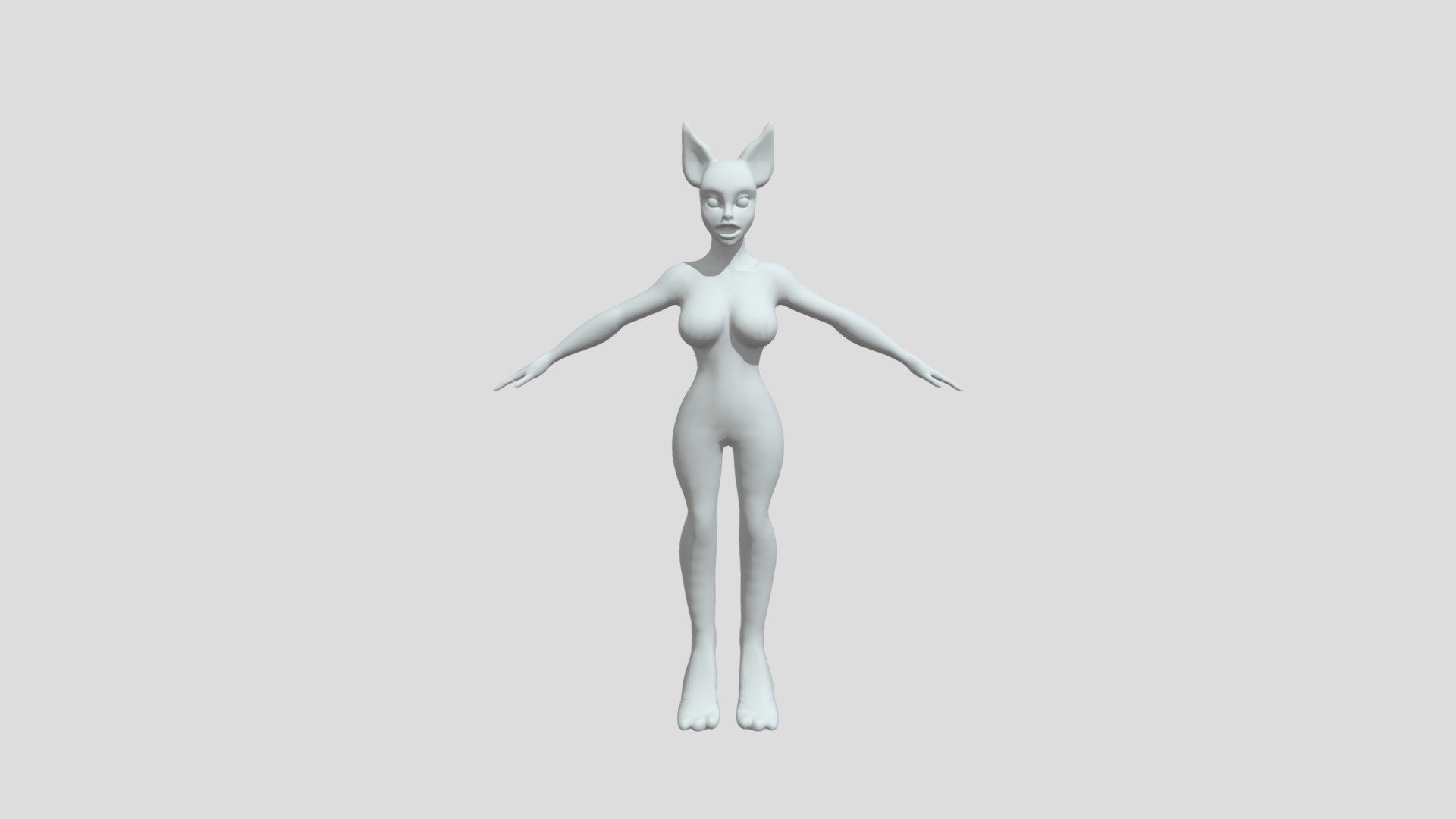 Decimated Model