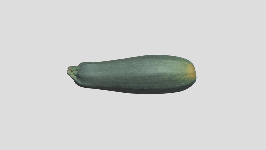 Zucchini Scan Photogrammetry