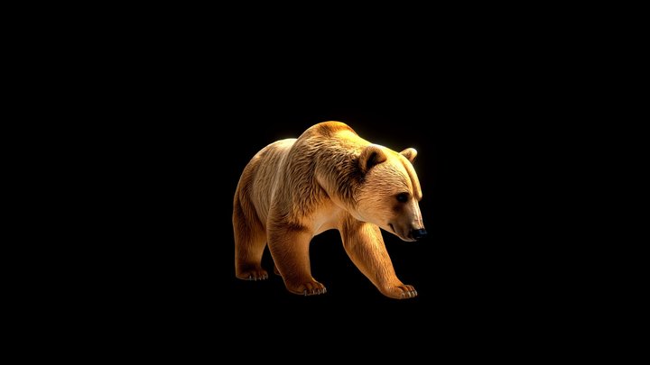 Bear Animal Golden Wanderer – Modello 3D gratuito STL