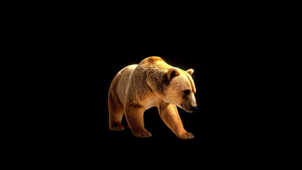 Bear Animal Golden Wanderer