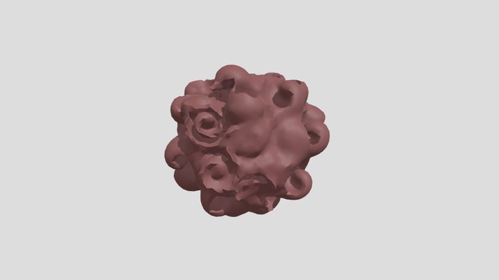 testing the app 3D Model