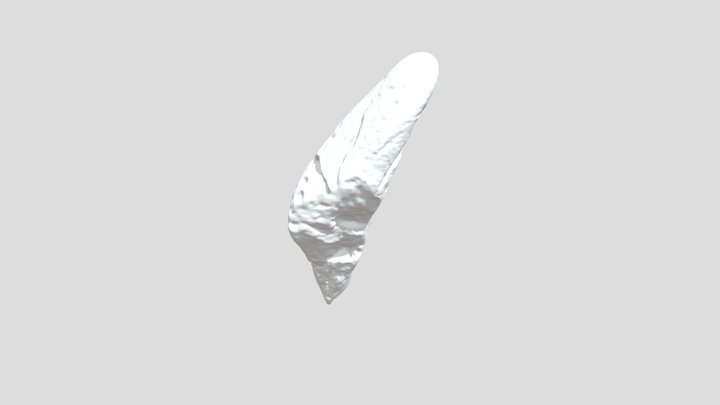 ProjectMegalodonUpload 3D Model