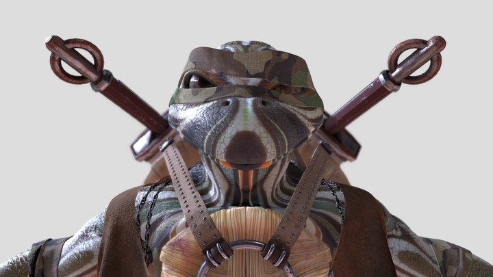 Turtle 3D Model