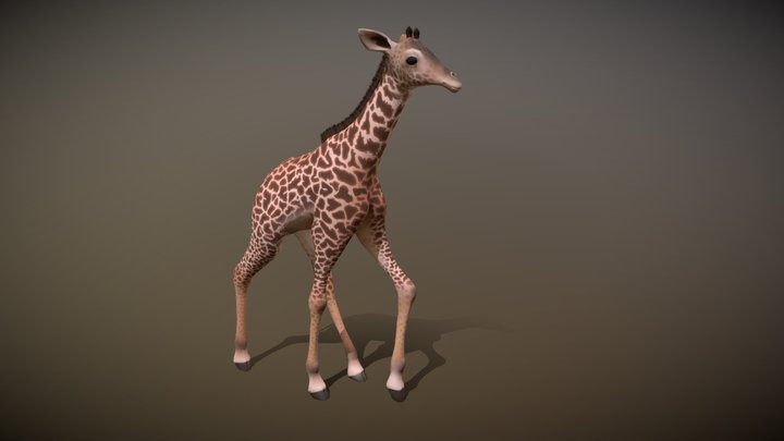 Giraffe Anim 3D Model