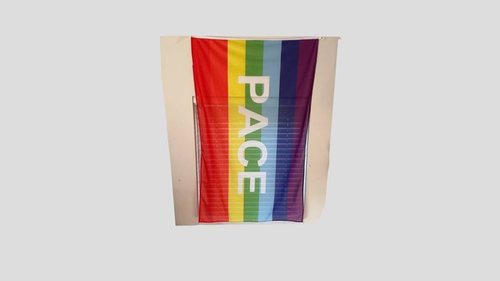 Pace Flag 3D Model