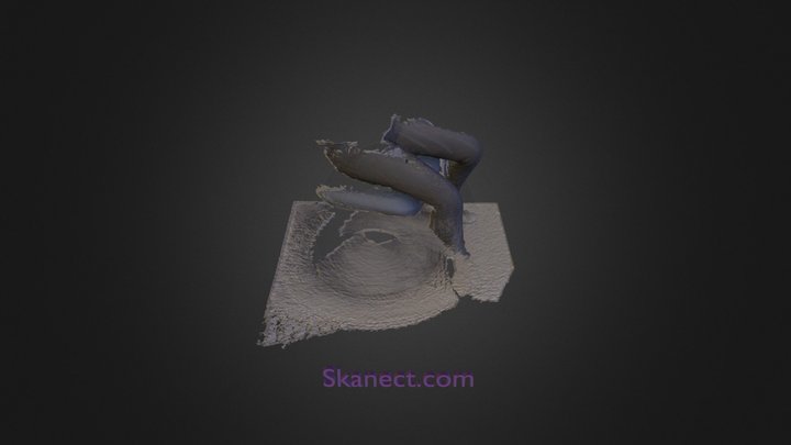 pierna 3D Model