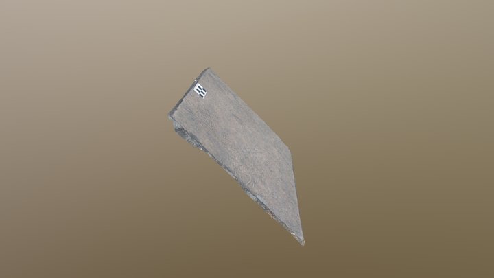 Dendromorph fossil traces Botucatu Formation 3D Model