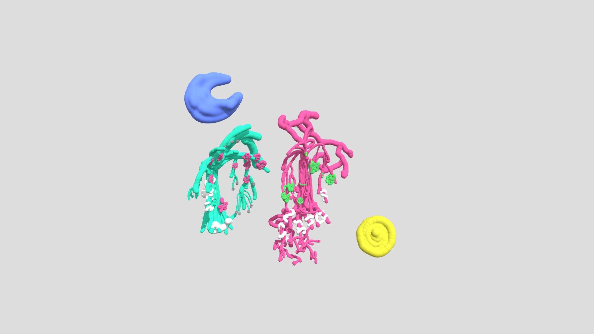 2021 12 10-17 12 13