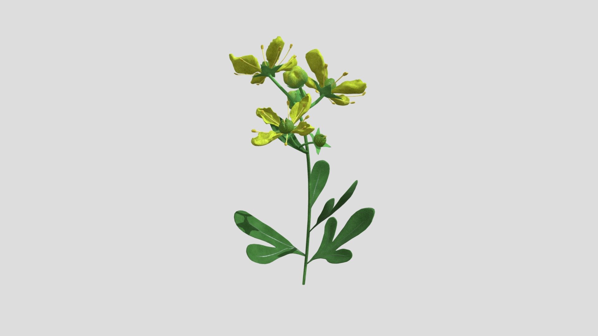Rue - 3D model by amsiu [57fb782] - Sketchfab