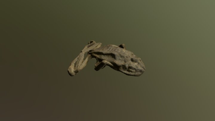 Mummified 3D models - Sketchfab