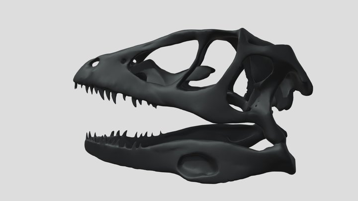 Deinonychus fossil skull 3D Model