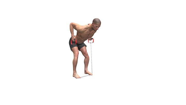 Bent Over Resistance Band Rows 3D Model