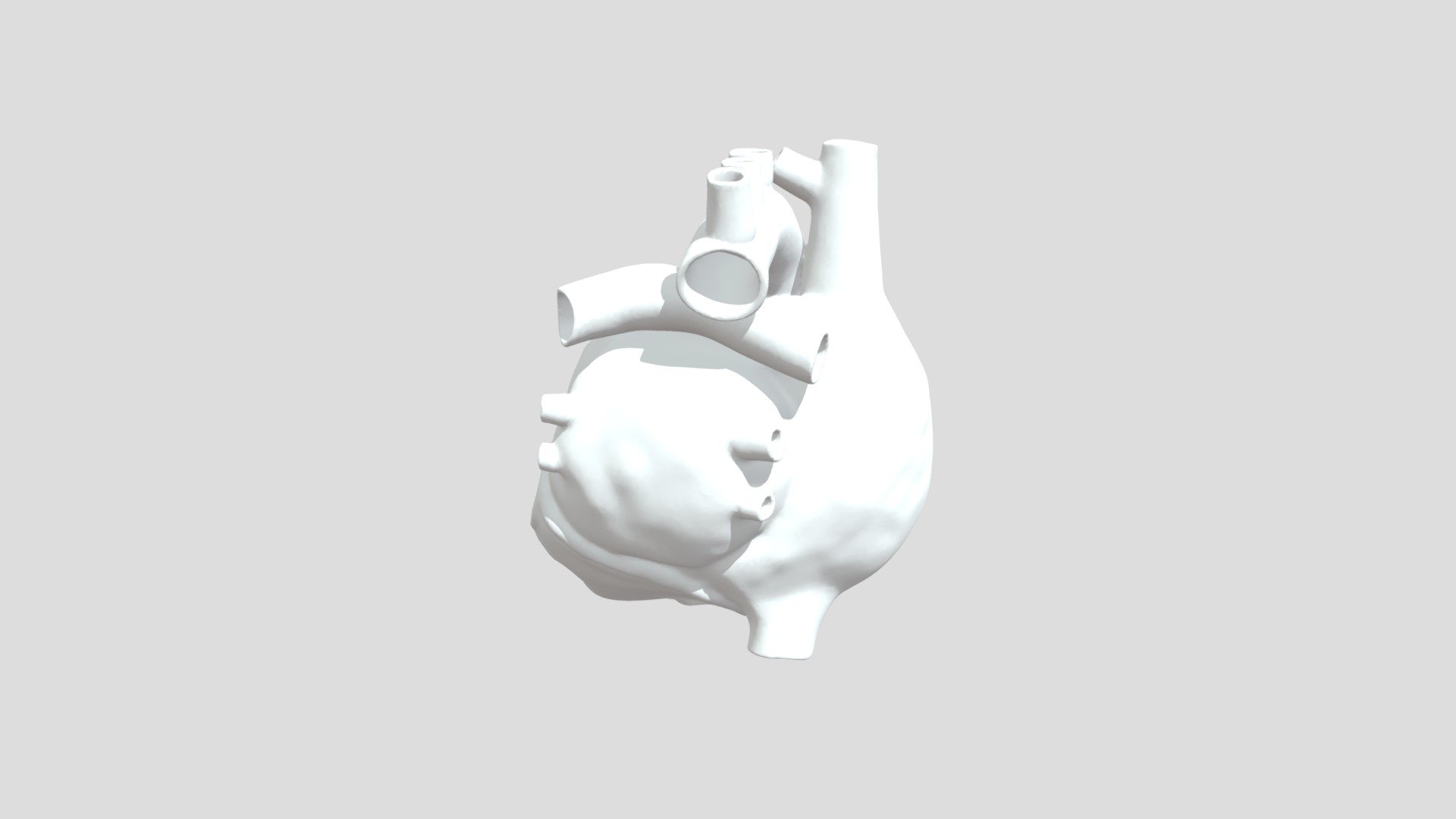 Anatomicalheart 3D model by anas.elsayed2011 [5803a88] Sketchfab