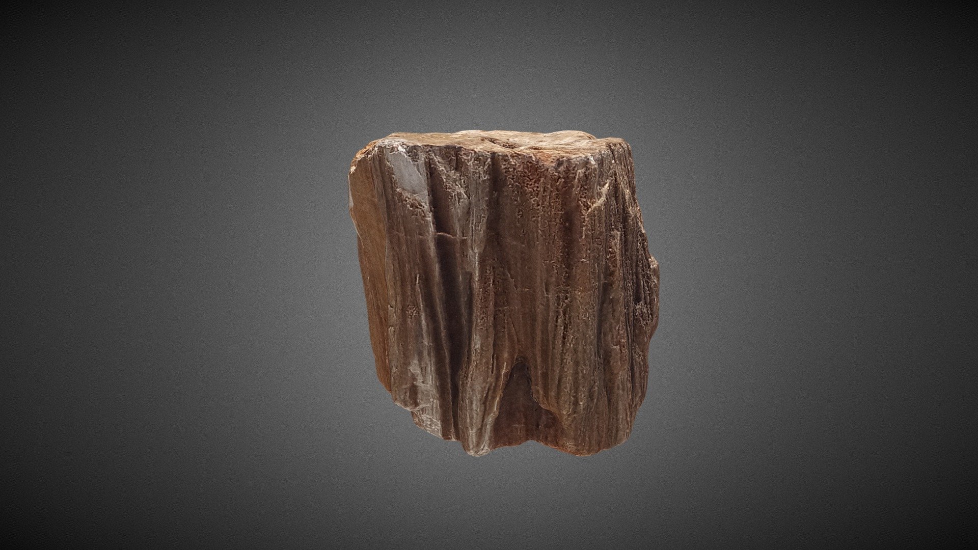 Petrified Wood - Download Free 3D model by SJ 3Designs (@jumuno03 ...
