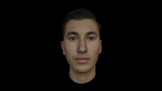 Champ, Age 28 3D Model