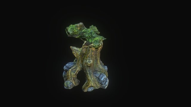 Redo On Gecko Tree 3D Model