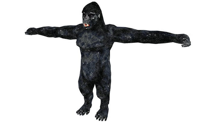 Gorilla - 3D Model by creativejungle
