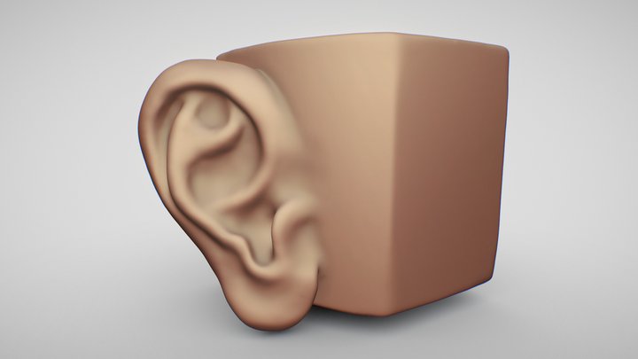 Ear – Modello 3D gratuito STL