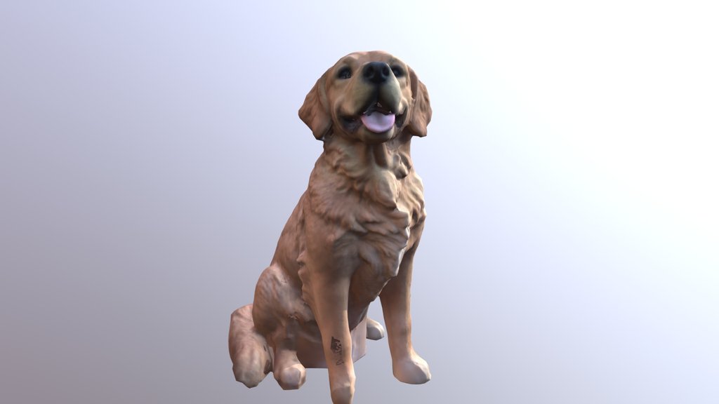 Golden Retriever (Sitting)