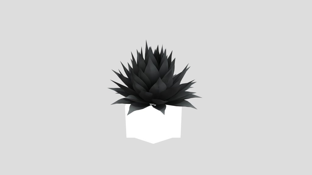 Plant Agave Pot