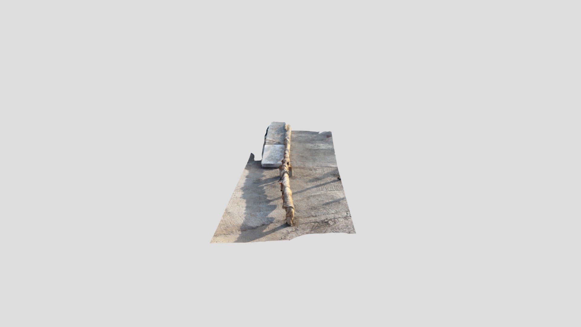 Polycam capture