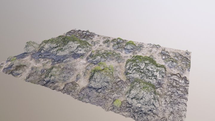 Sandveld 3D 3D Model