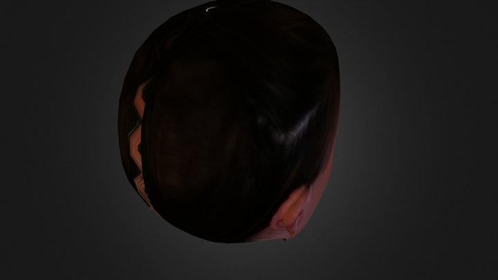linznew2 3D Model
