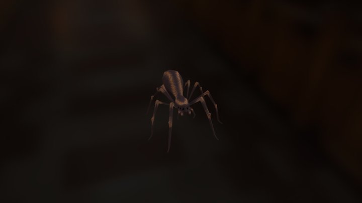 Spider 3D Model