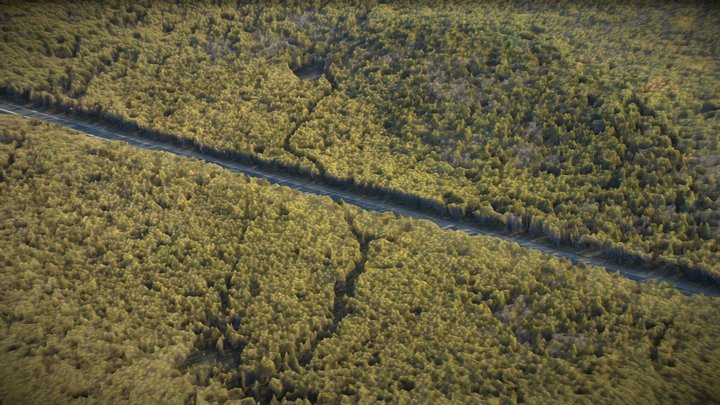 Forest and highway – Gratis 3D-model STL