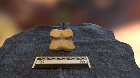 Mystery Bone January 2016-1 3D Model