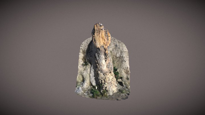 3D Model of Petrified Trunk #78 (Foto) 3D Model
